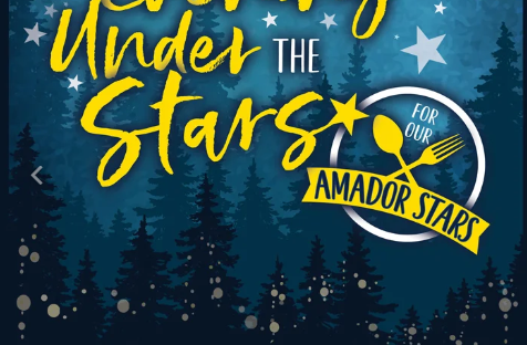 An Evening Under the Stars flyer