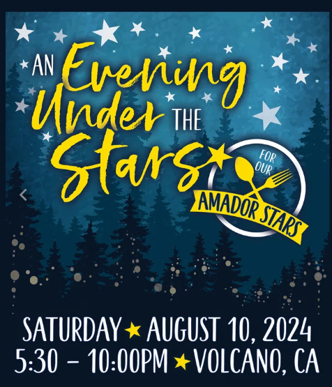 An Evening Under the Stars flyer