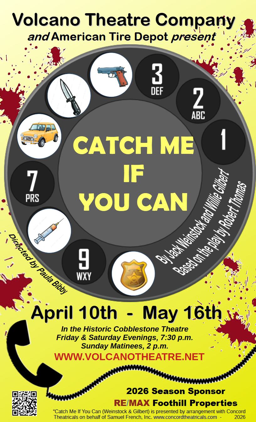 Catch Me If You Can - Volcano Theatre Company